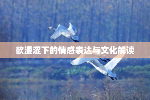欲漫涩下的情感表达与文化解读