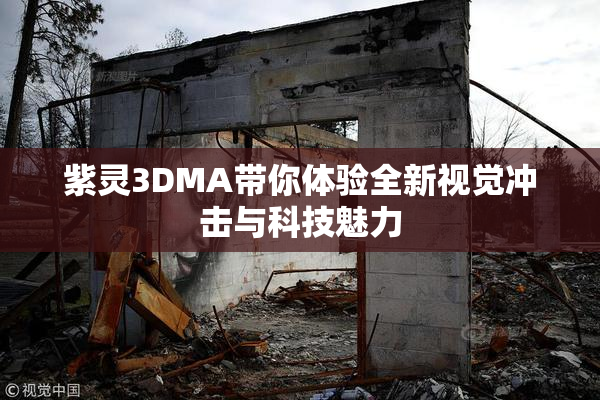 紫灵3DMA带你体验全新视觉冲击与科技魅力