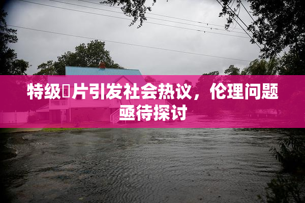 特级婬片引发社会热议，伦理问题亟待探讨