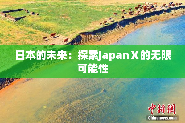 日本的未来：探索JapanⅩ的无限可能性