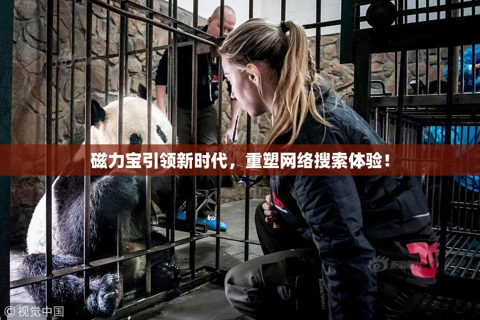 磁力宝引领新时代，重塑网络搜索体验！