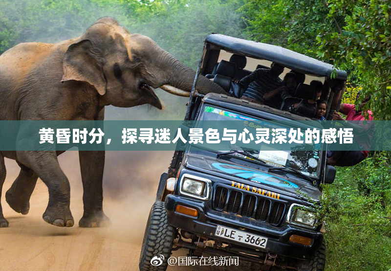黄昏时分，探寻迷人景色与心灵深处的感悟