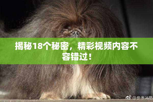 揭秘18个秘密，精彩视频内容不容错过！