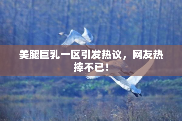 美腿巨乳一区引发热议，网友热捧不已！