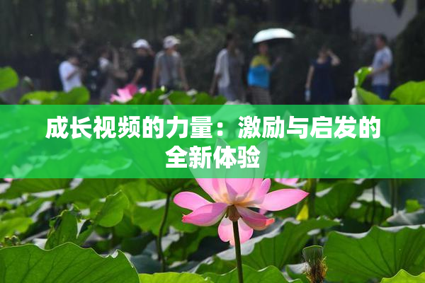 成长视频的力量：激励与启发的全新体验