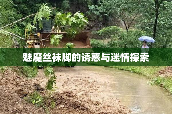 魅魔丝袜脚的诱惑与迷情探索