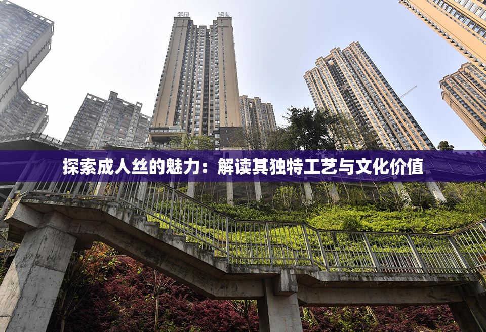 探索成人丝的魅力：解读其独特工艺与文化价值