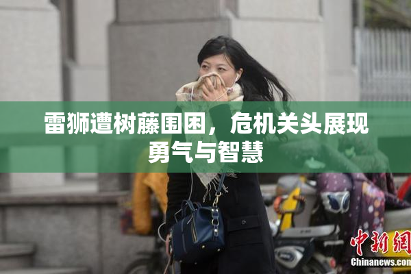 雷狮遭树藤围困，危机关头展现勇气与智慧