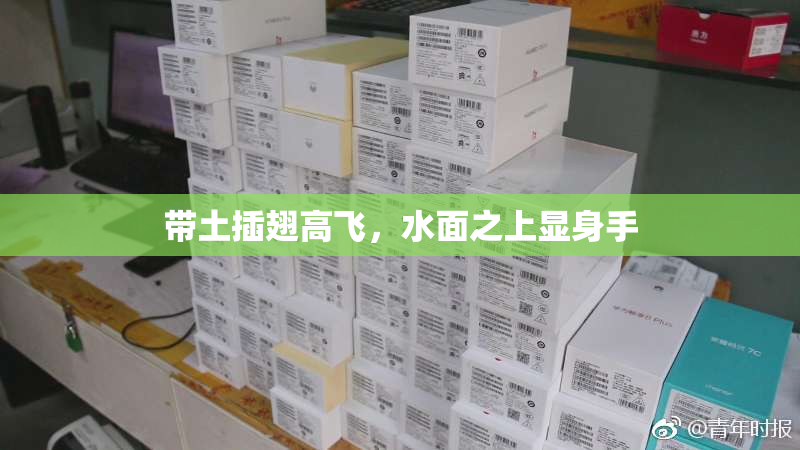 带土插翅高飞，水面之上显身手
