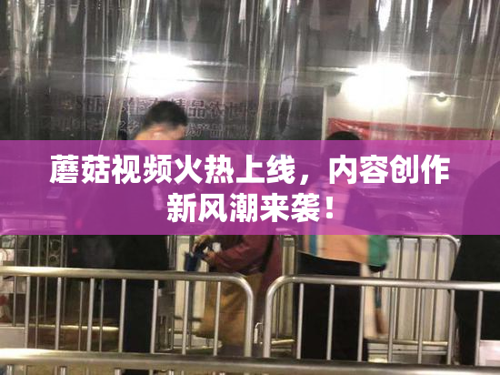 蘑菇视频火热上线，内容创作新风潮来袭！