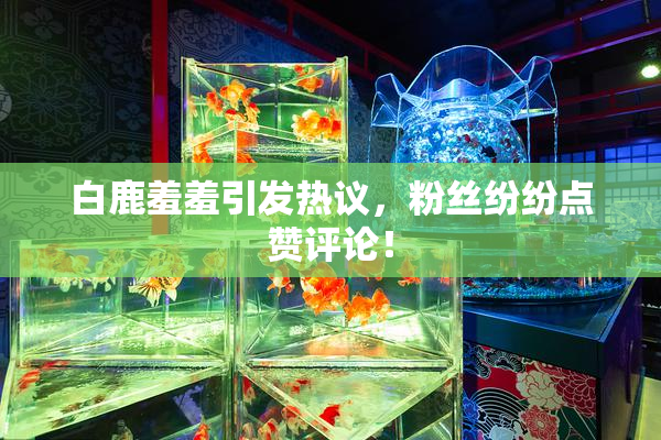 白鹿羞羞引发热议，粉丝纷纷点赞评论！