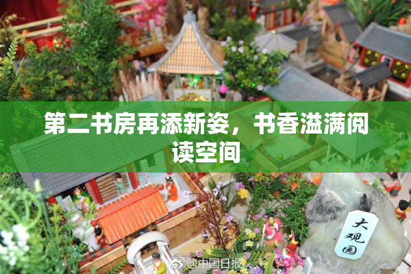 第二书房再添新姿，书香溢满阅读空间