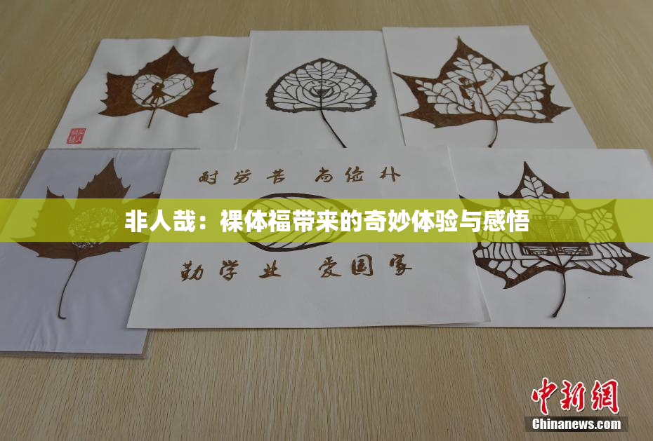 非人哉：裸体福带来的奇妙体验与感悟