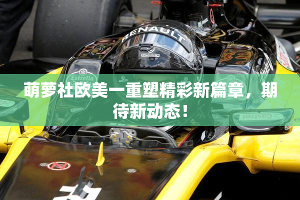 萌萝社欧美一重塑精彩新篇章，期待新动态！