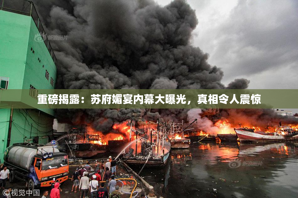 重磅揭露：苏府媚宴内幕大曝光，真相令人震惊