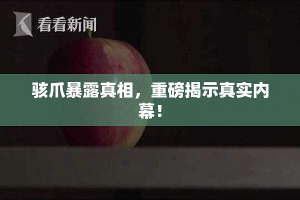 骇爪暴露真相，重磅揭示真实内幕！