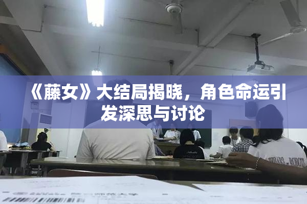 《藤女》大结局揭晓，角色命运引发深思与讨论