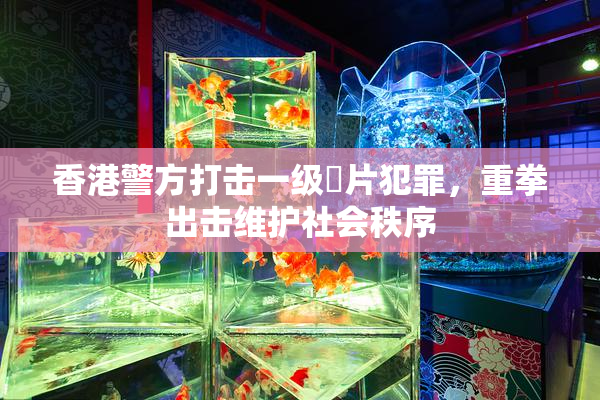 香港警方打击一级婬片犯罪，重拳出击维护社会秩序