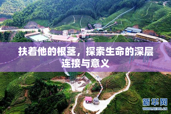 扶着他的根茎，探索生命的深层连接与意义
