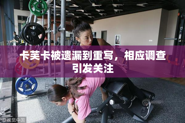 卡芙卡被遗漏到重写，相应调查引发关注