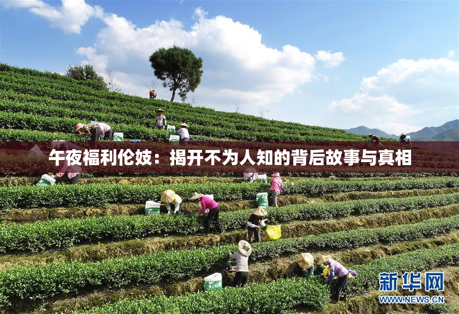 午夜福利伦妓：揭开不为人知的背后故事与真相