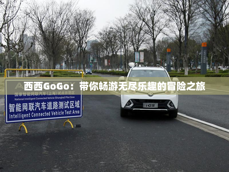西西GoGo：带你畅游无尽乐趣的冒险之旅