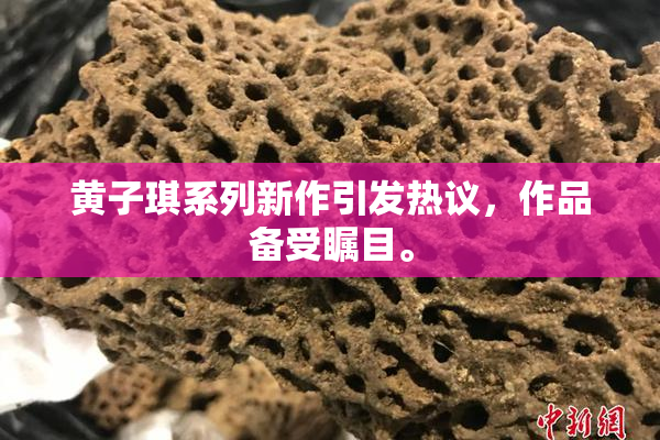 黄子琪系列新作引发热议，作品备受瞩目。