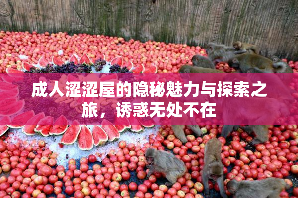 成人涩涩屋的隐秘魅力与探索之旅，诱惑无处不在