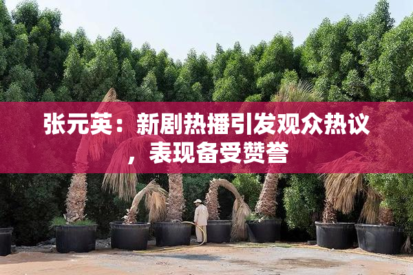 张元英：新剧热播引发观众热议，表现备受赞誉