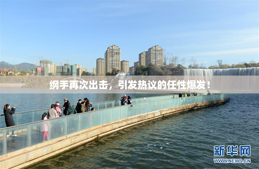 纲手再次出击，引发热议的任性爆发！
