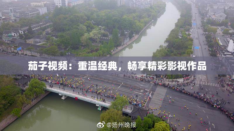 茄子视频：重温经典，畅享精彩影视作品