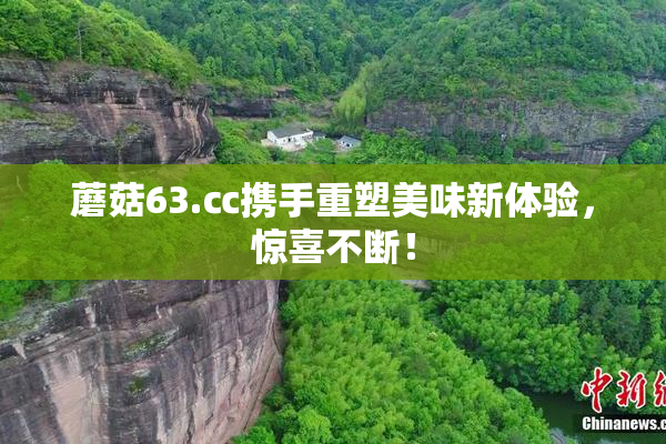 蘑菇63.㏄携手重塑美味新体验，惊喜不断！