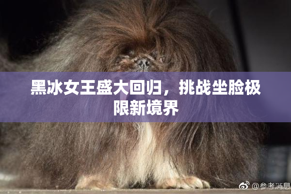 黑冰女王盛大回归，挑战坐脸极限新境界