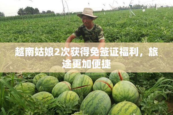 越南姑娘2次获得免签证福利，旅途更加便捷