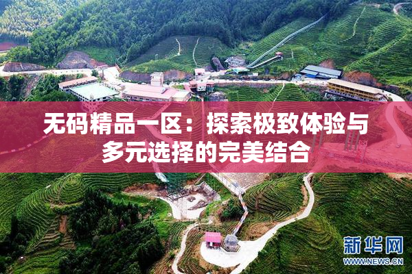 无码精品一区：探索极致体验与多元选择的完美结合