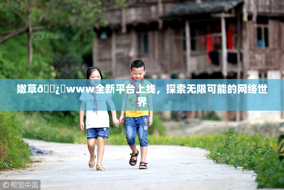 嫩草🌿‌www全新平台上线，探索无限可能的网络世界