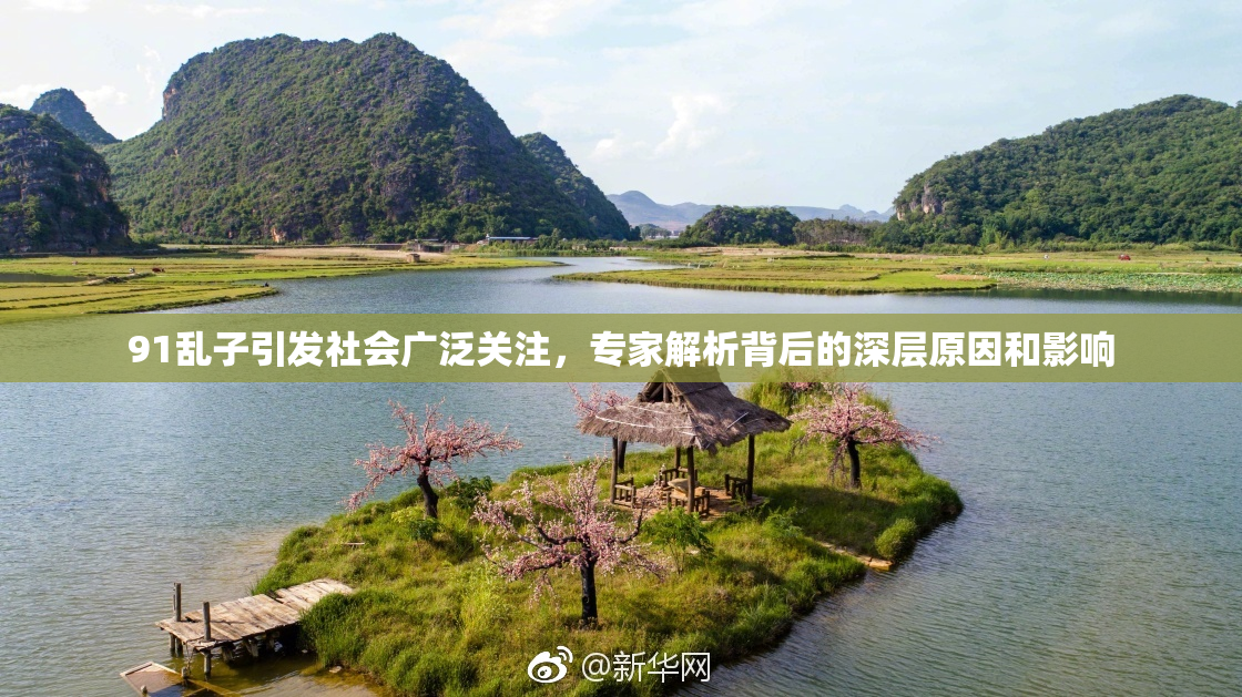 91乱子引发社会广泛关注，专家解析背后的深层原因和影响