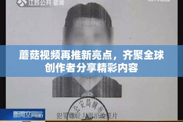 蘑菇视频再推新亮点，齐聚全球创作者分享精彩内容