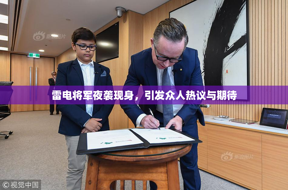 雷电将军夜袭现身，引发众人热议与期待