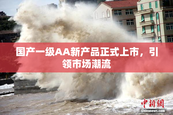 国产一级AA新产品正式上市，引领市场潮流
