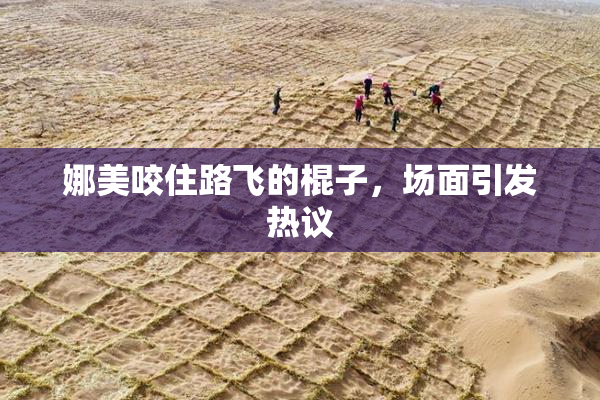 娜美咬住路飞的棍子，场面引发热议