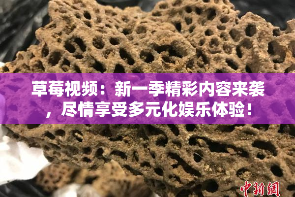 草莓视频：新一季精彩内容来袭，尽情享受多元化娱乐体验！