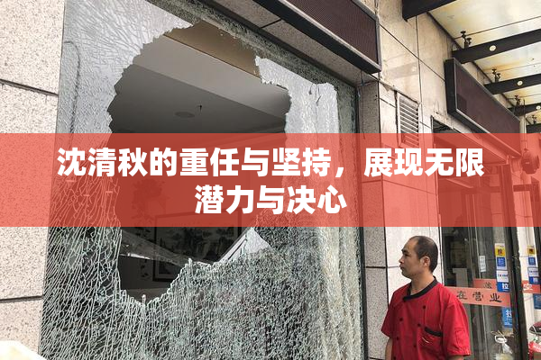 沈清秋的重任与坚持，展现无限潜力与决心