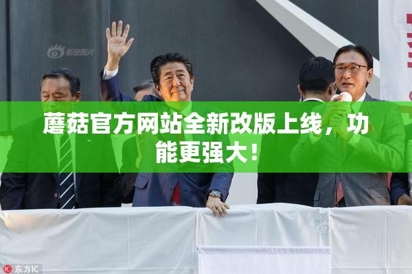蘑菇官方网站全新改版上线，功能更强大！