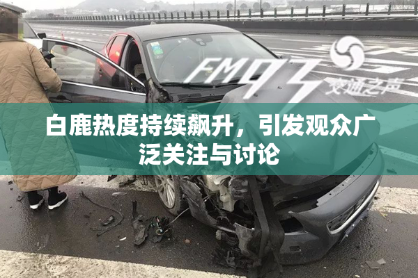 白鹿热度持续飙升，引发观众广泛关注与讨论
