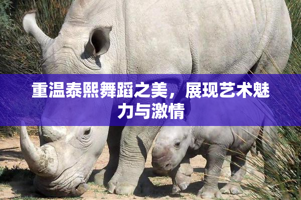 重温泰熙舞蹈之美，展现艺术魅力与激情