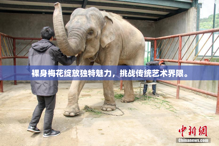 裸身梅花绽放独特魅力，挑战传统艺术界限。