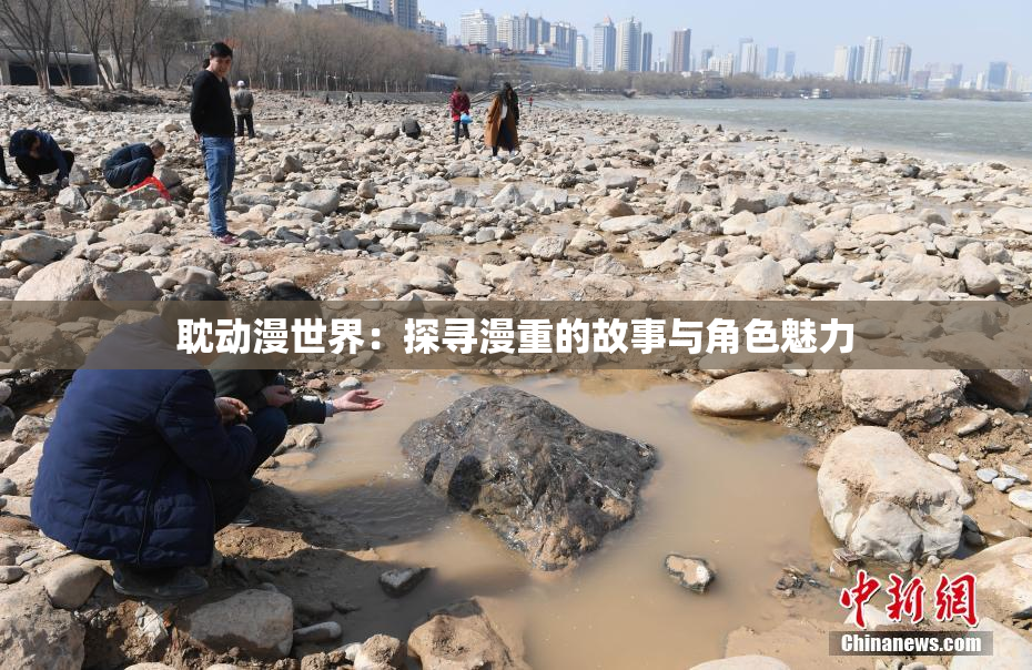 耽动漫世界：探寻漫重的故事与角色魅力