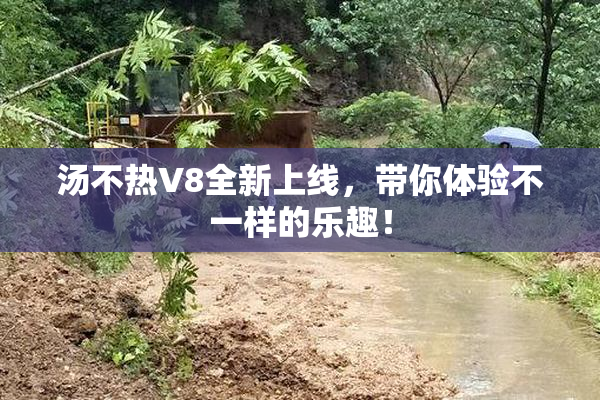 汤不热V8全新上线，带你体验不一样的乐趣！
