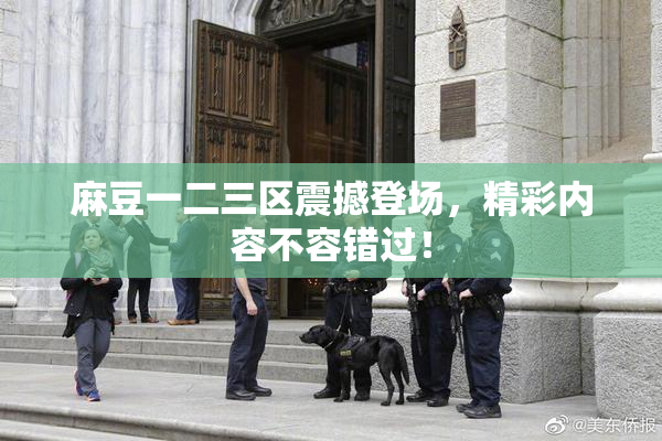 麻豆一二三区震撼登场，精彩内容不容错过！